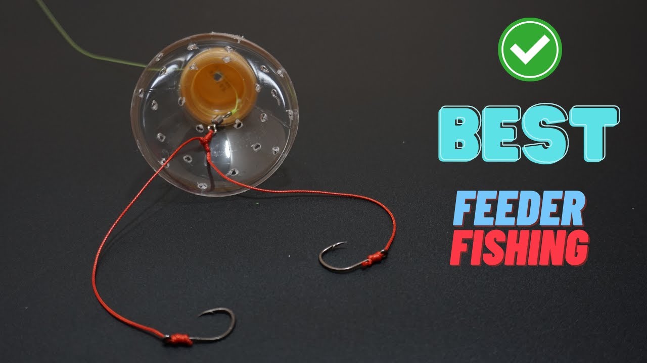 DIY: Create Your Own Natural Bait Feeder to Attract Freshwater Fish ( fishing )
