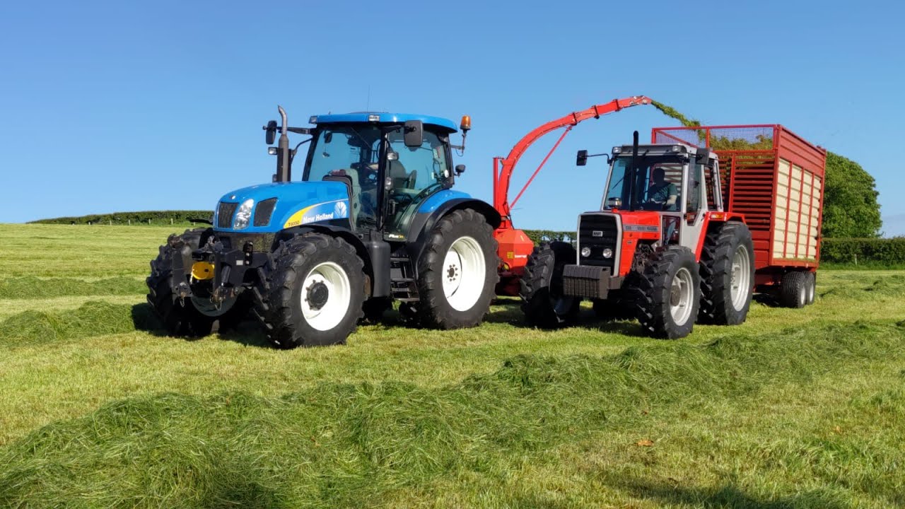 Massey Ferguson MF 698 Carting Grass at Crawford's Silage 2021