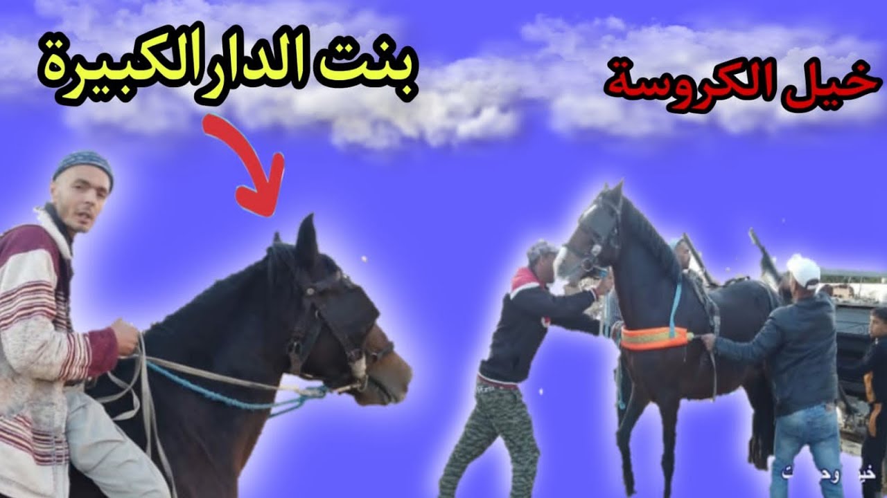 شرينا الخيل من السونتر ڤيل..😂//شفنا بنت الدار لكبيرة ...وركبنا الكوتشي 🔥