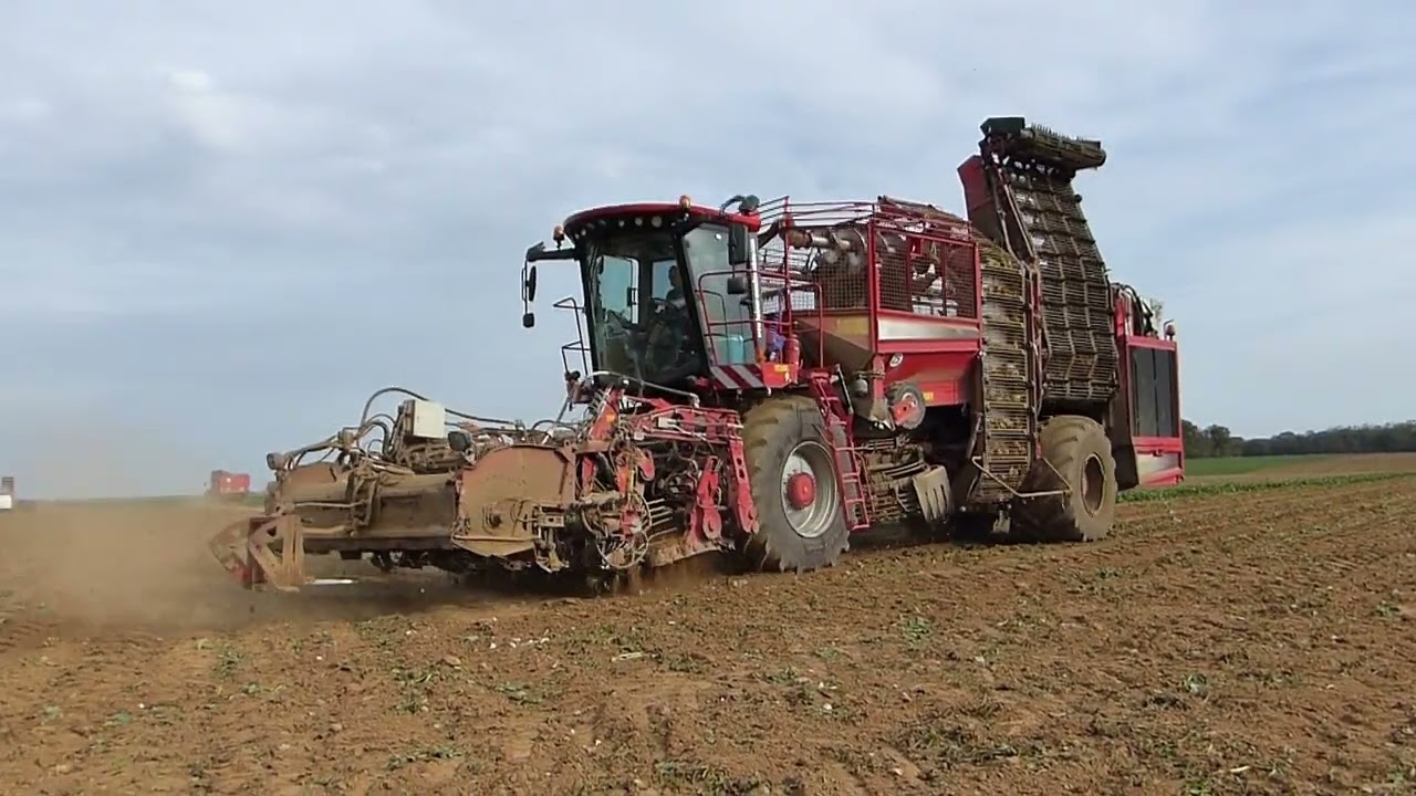 Arrachage betteraves HOLMER T4