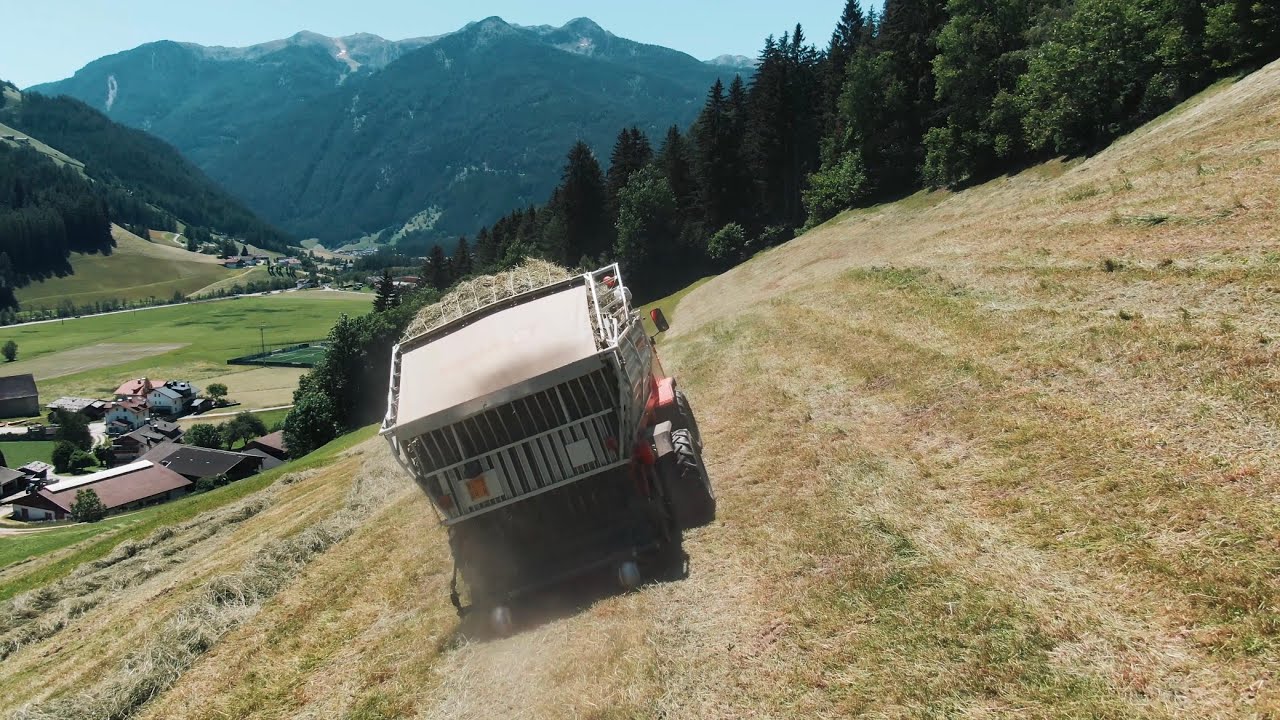 Heuernte 2022   Hay harvest 2022     mit/with BCS und Reform Muli
