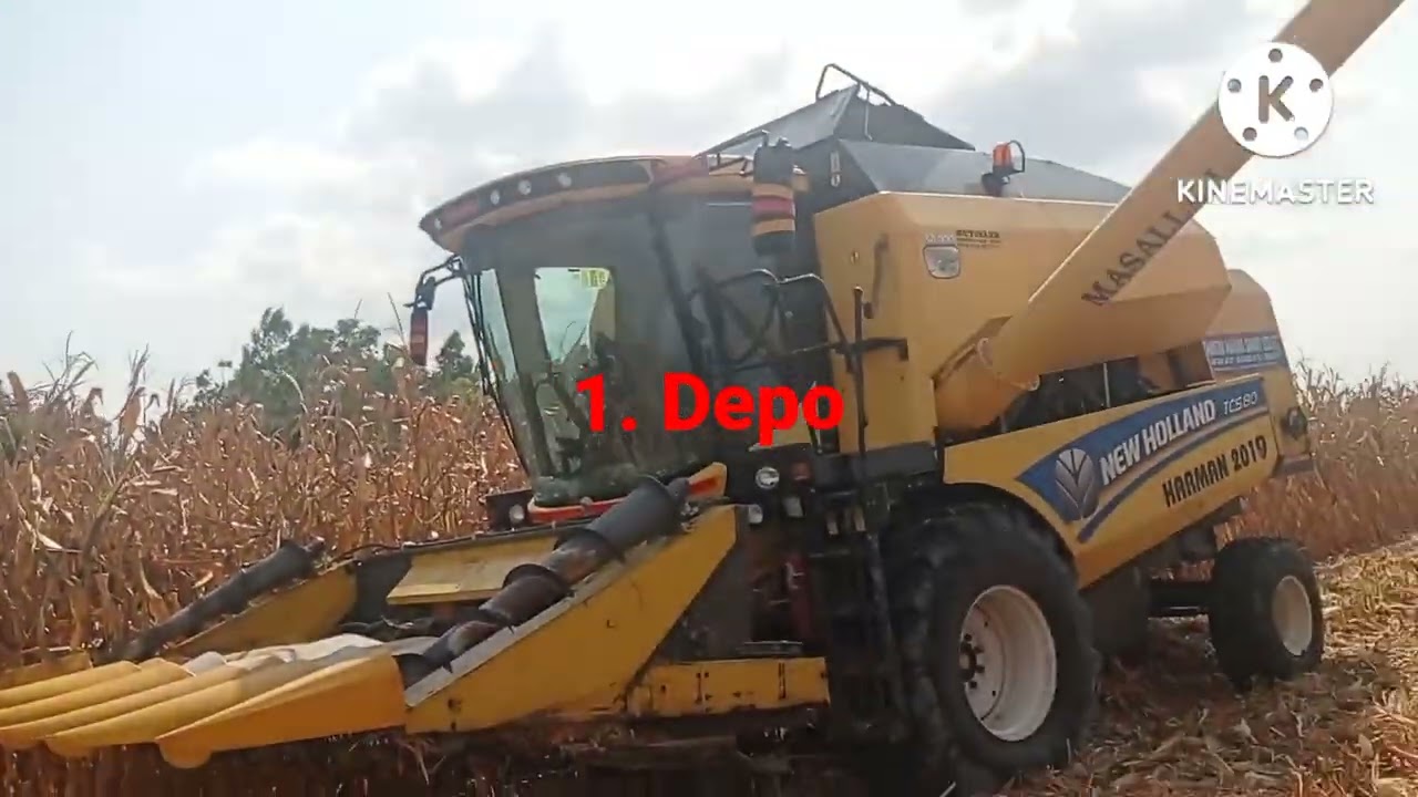 2022 mısır hasadı bin m2 Net #1730kg