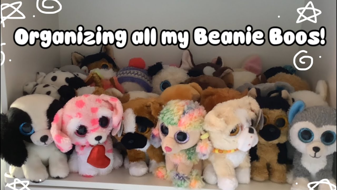 ￼Organizing all my Beanie Boos! (200+)