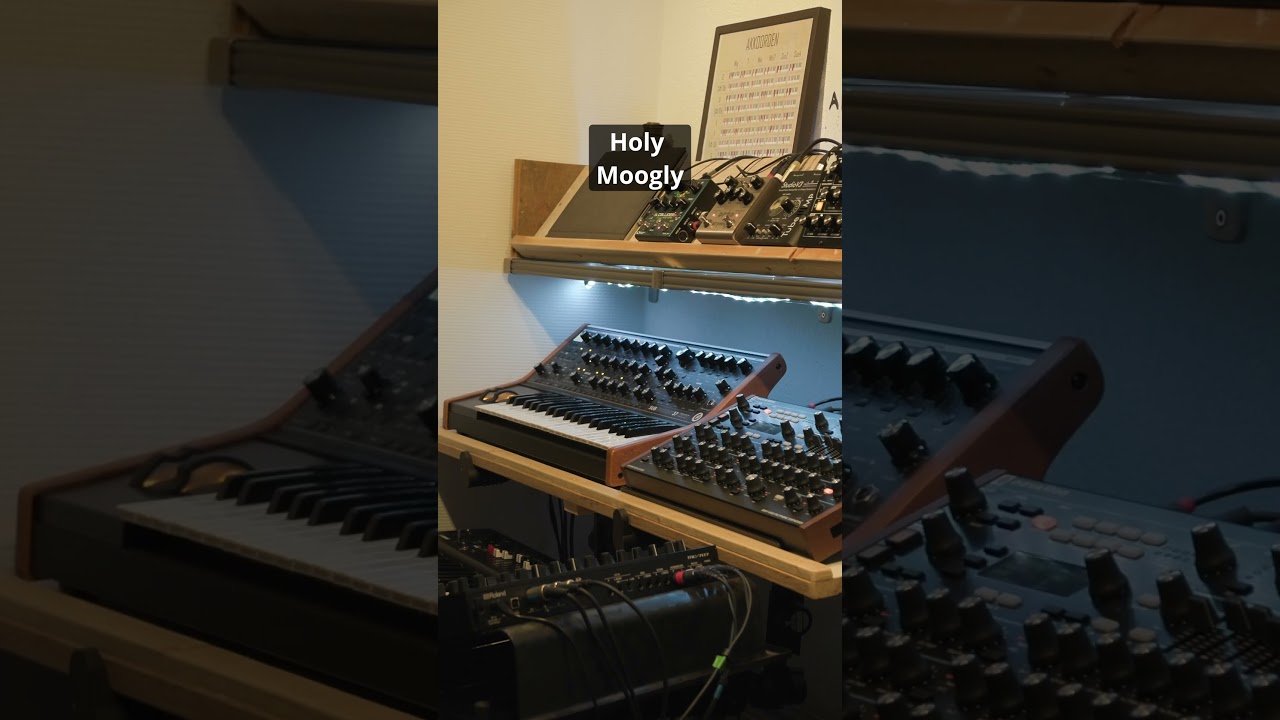 Double #moog #jamming #fun