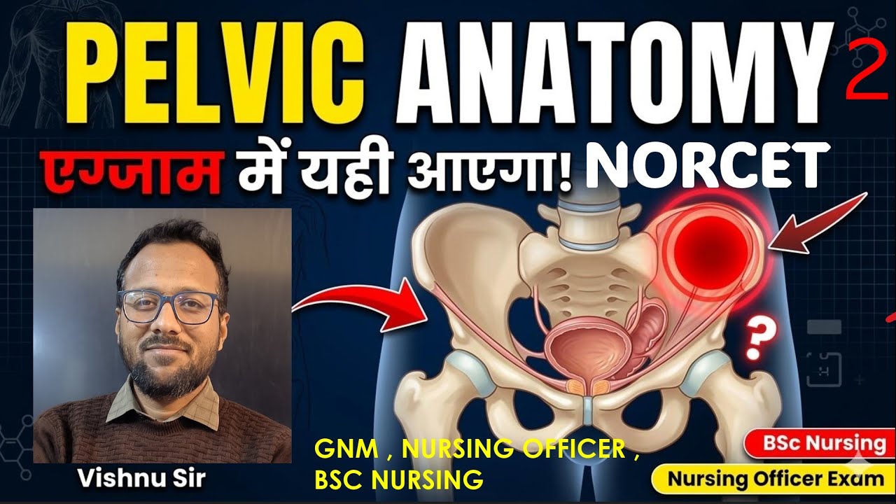 PELVIS PART -2 ANATOMY BSC NURSING, NORCET ,AIIMS,SGPGI,KGMU