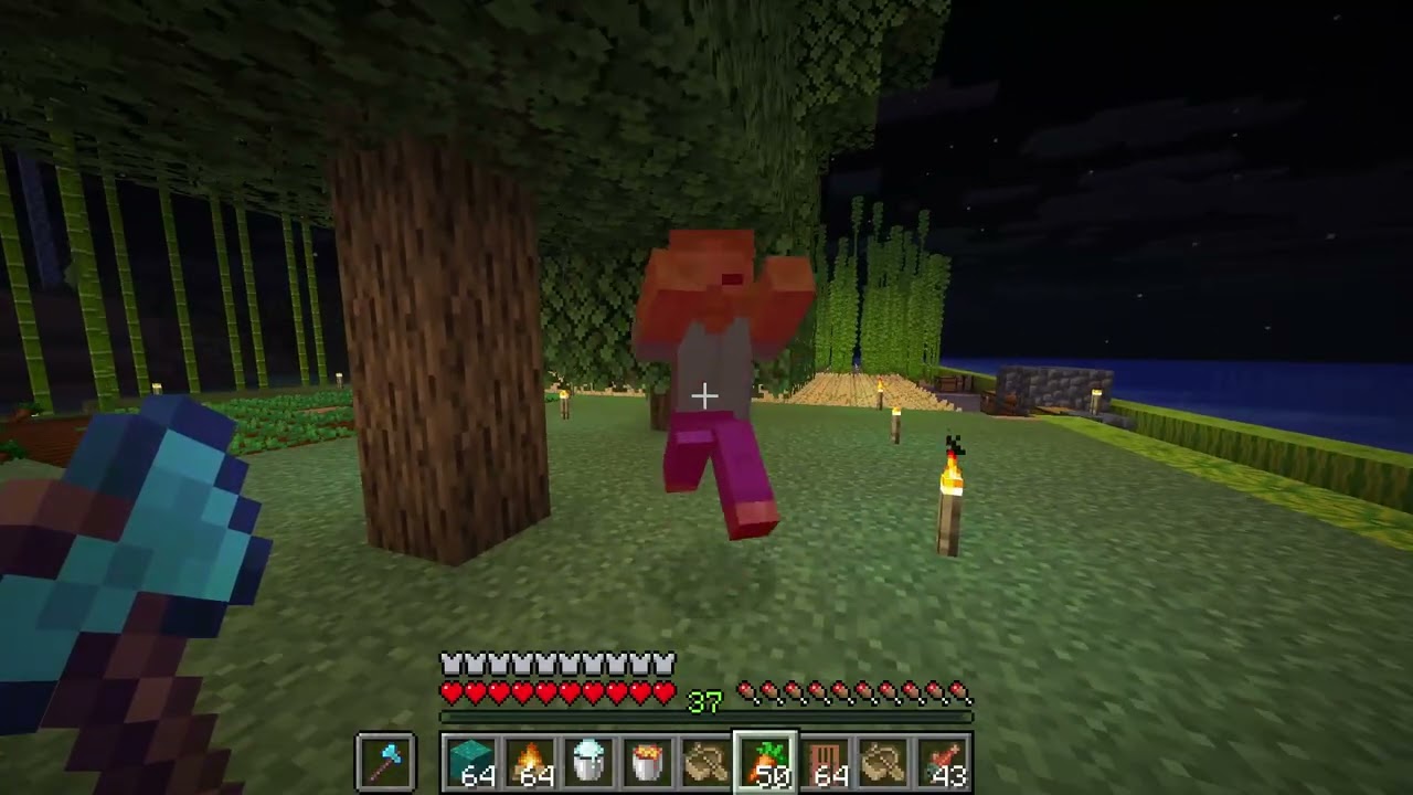 #23【ブタとかは狩らない派】『Minecraft』 TikTokにて。2025 12 29 05 47 01