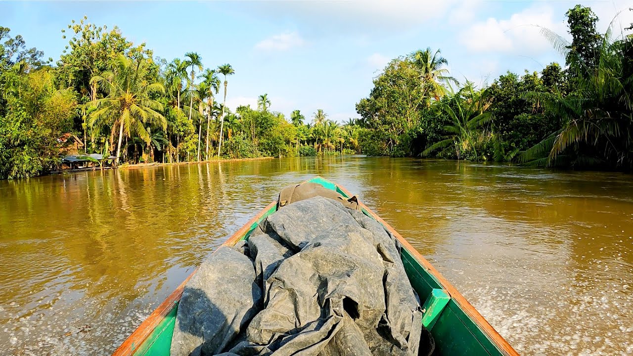 SUMATRA INDONESIA 4K 🇮🇩 Rainforest Relaxation Film | Nature Video