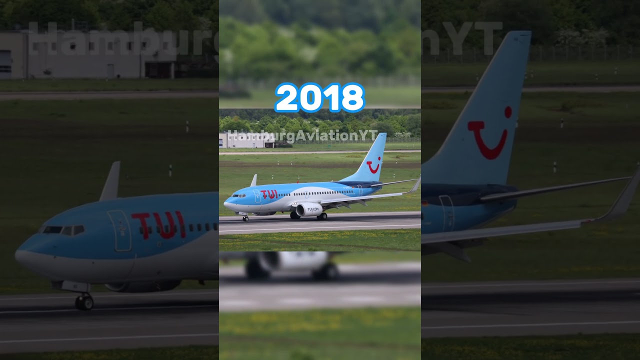 Evolution of tui fly @KerstinBabik
