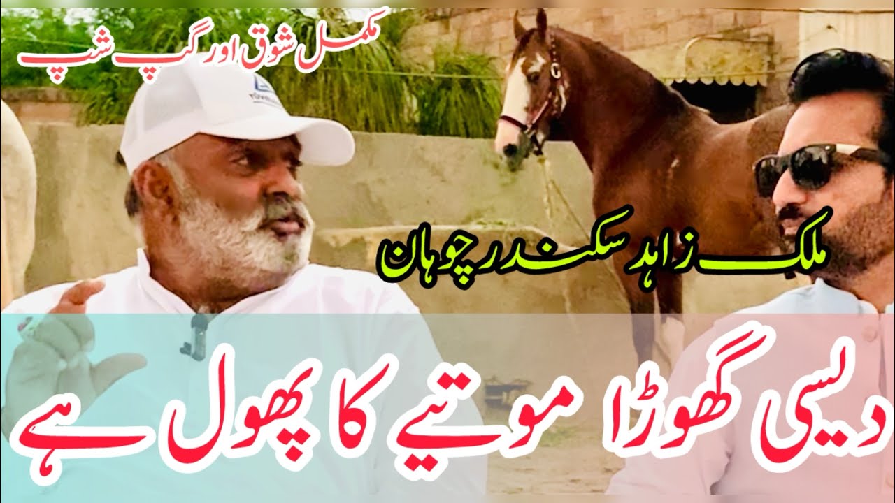 Very Beautiful Farm House in Sargodha || Malik Zahid Sikandar Chohan