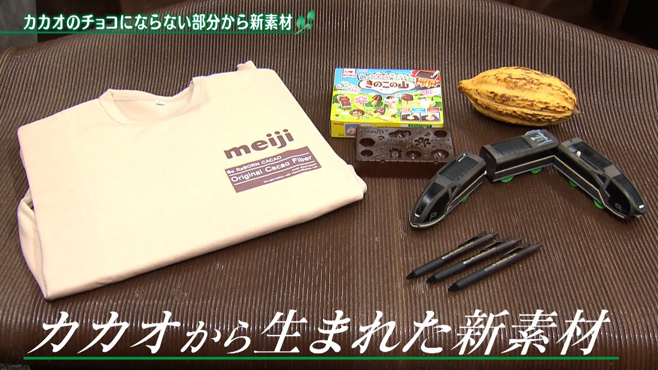 カカオのチョコにならない部分から新素材【アプデの森】
