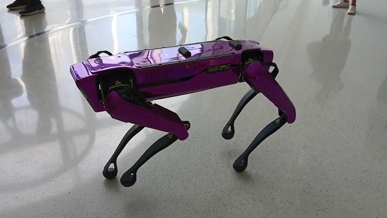 Dubai robot, Robo dog, Dubai technology. Dubai museum of technology