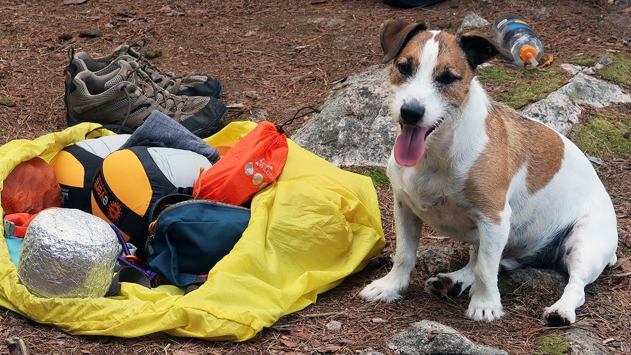 Join me and my dog Toby on a quiet island camping trip over a relaxing weekend.