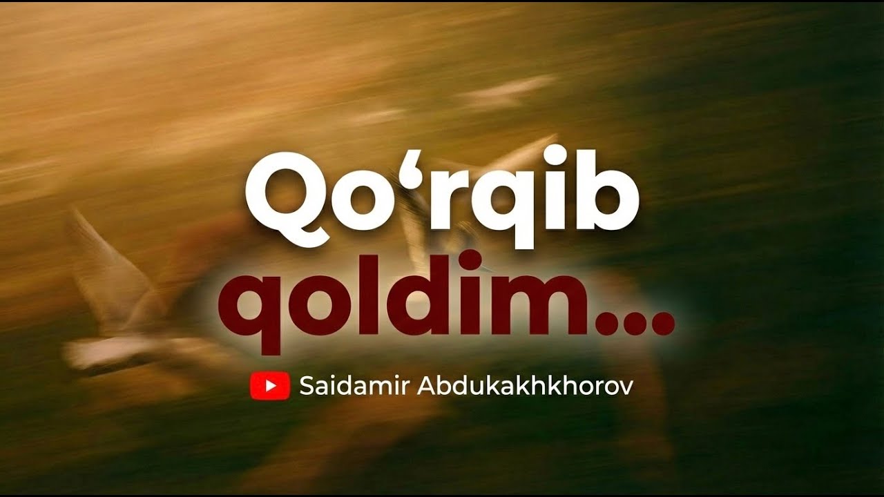 Saidamir Abdukakhkhorov – Qo‘rqib qoldim...