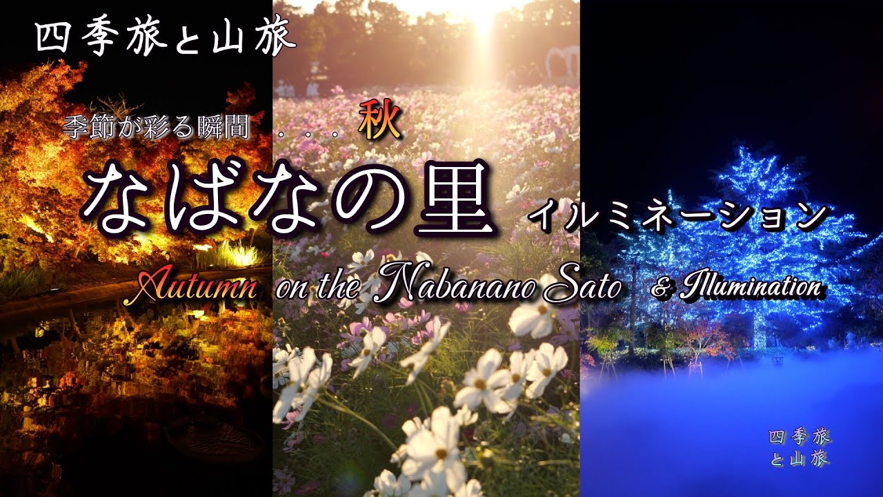 四季は秋   なばなの里　紅葉・イルミネーション  2025.11.15　#torip to japan #japan #Autumn foliage in Japan #なばなの里