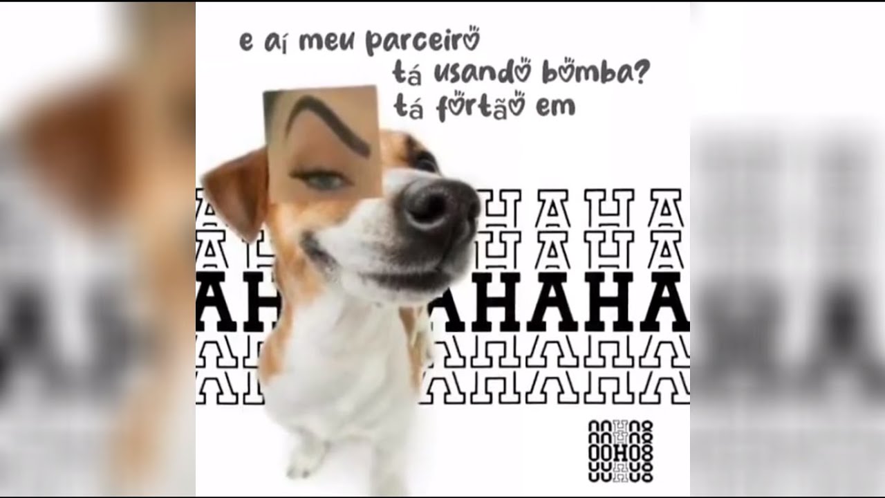 COMPILADO DE SHITPOST E MEMES #200