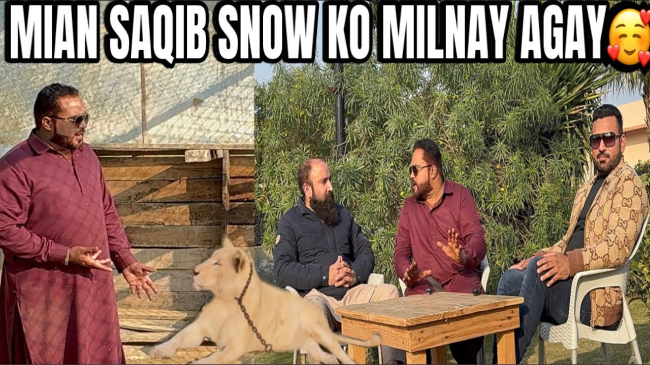 MIAN SAQIB SNOW LIONESS KO MILNAY AGAY 🦁😘🥰