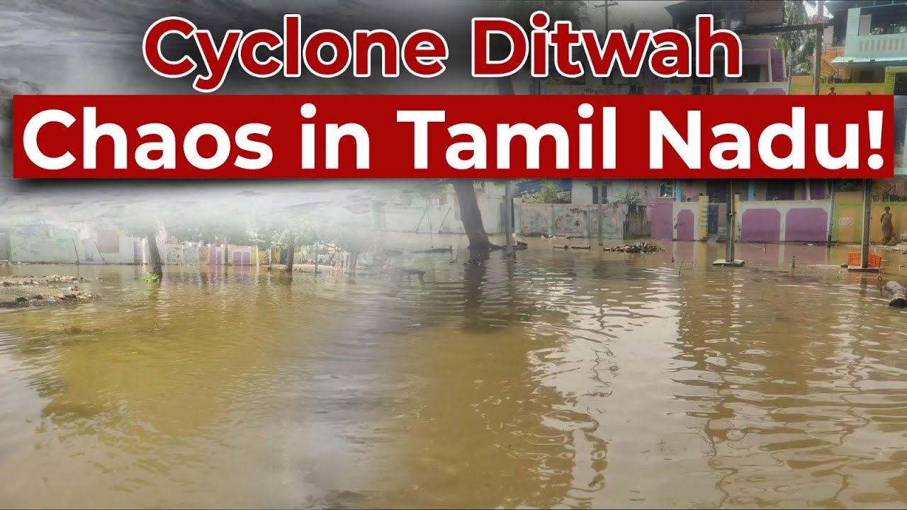 Heavy rains from Cyclone Ditwah submerge 200 houses; Rameswaram hit by waist-deep water