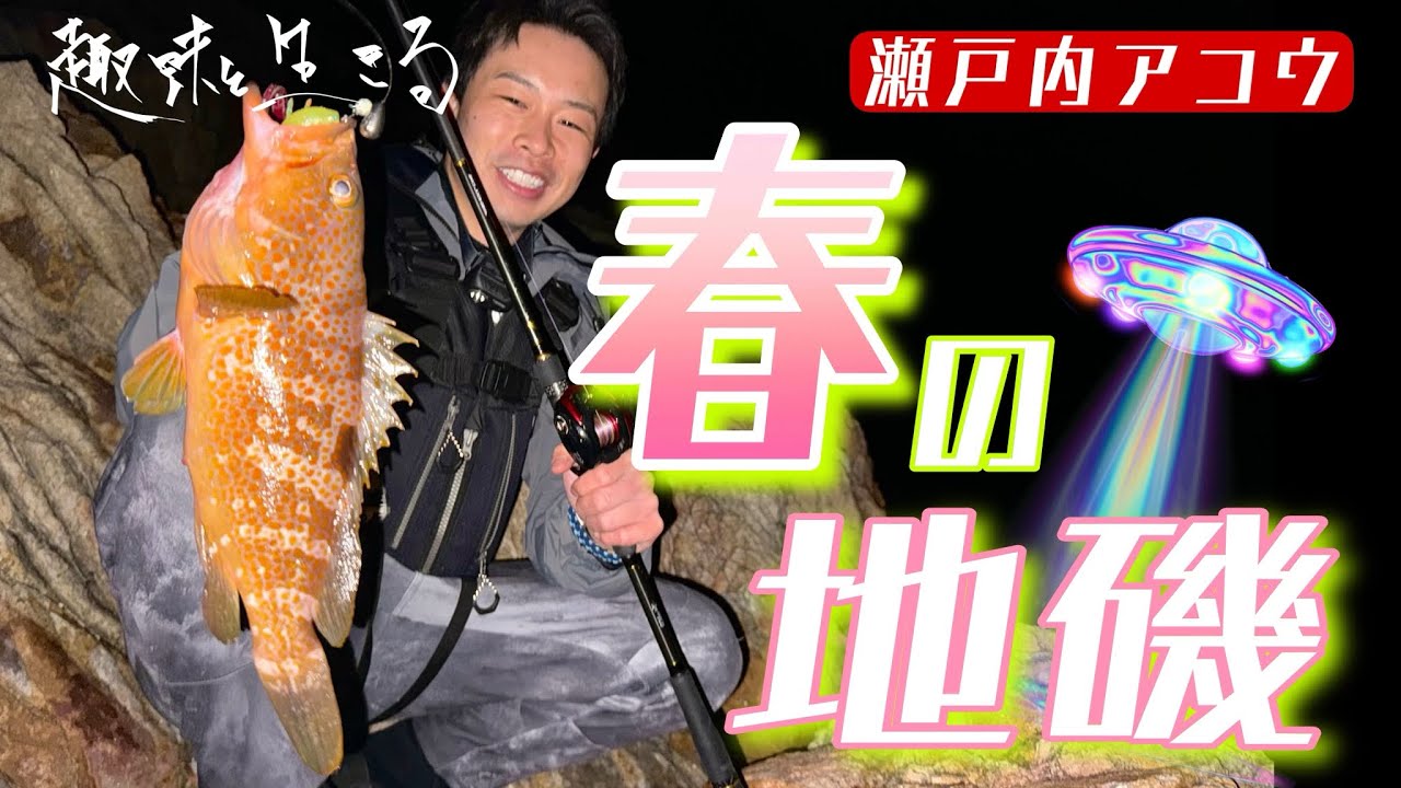【瀬戸内アコウ】春の地磯でサイズを狙う❗️謎の飛行物体も目撃！