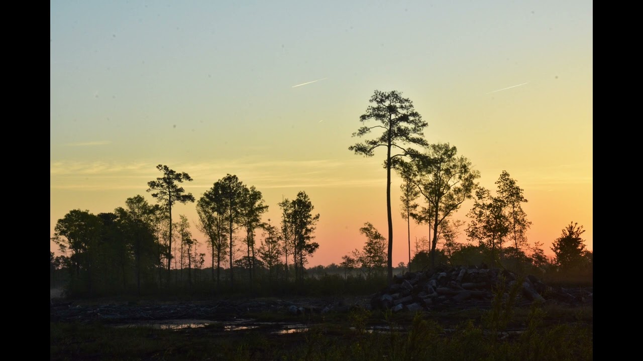 Earth Reading 3-9-26 - Distillation • Perspective • Meaning Emerging