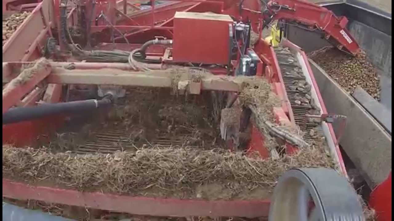 Spudnik 6631 Air-Sep Harvester - digging 15 rows in stones