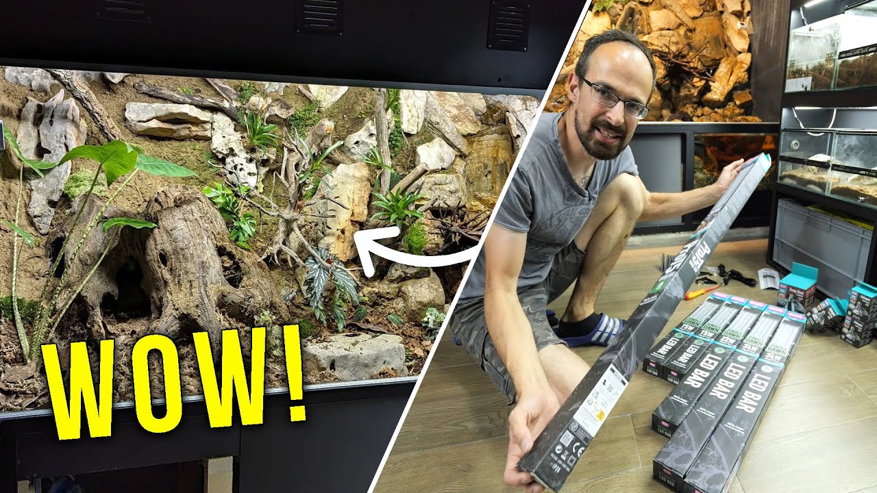 Jungle Dawn LED Bars Transform The Junglearium | With @TheDarkDen