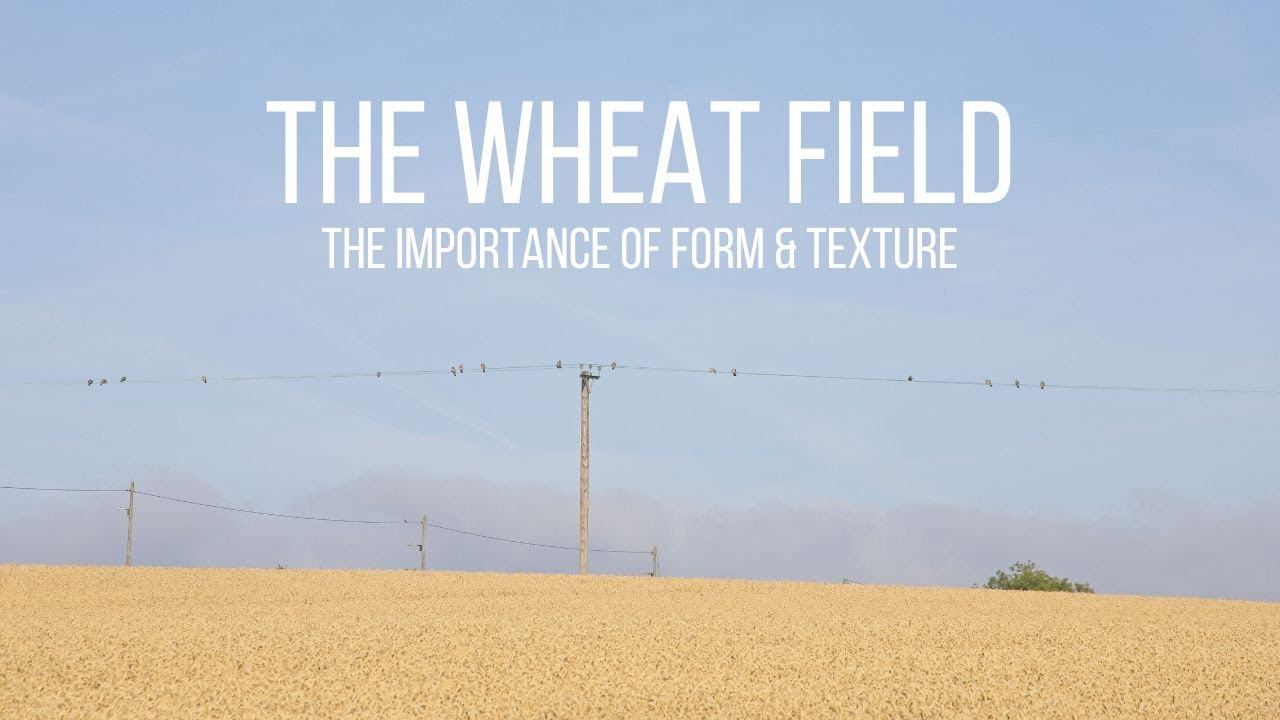 Landscape Photography - The Wheat Field
