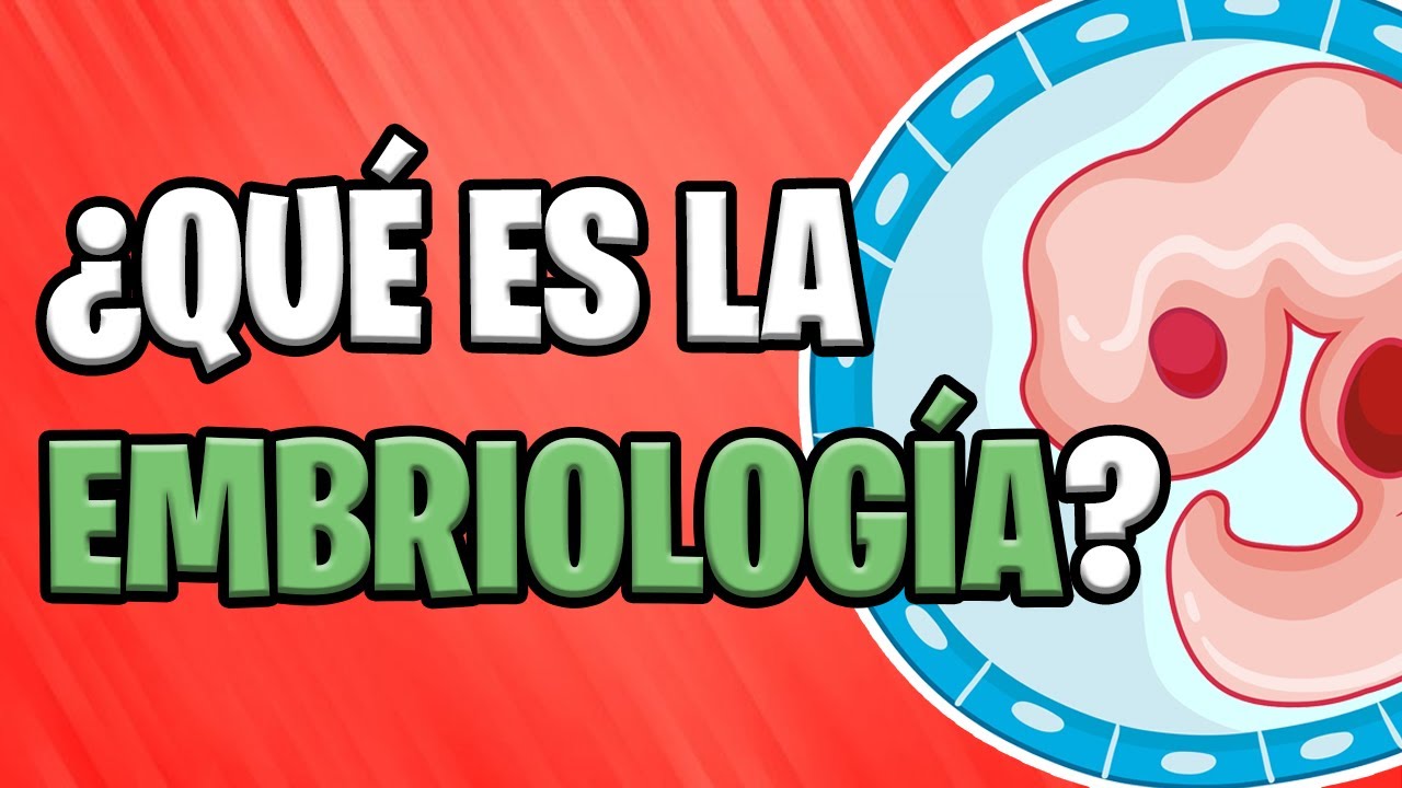 &iquest;QU&Eacute; ES LA EMBRIOLOG&Iacute;A? 🤔 CONCEPTOS E IMPORTANCIA ✅