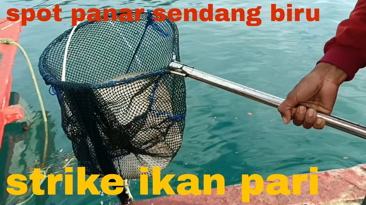 Perjalanan+fishing+hasil, info panar sendang biru