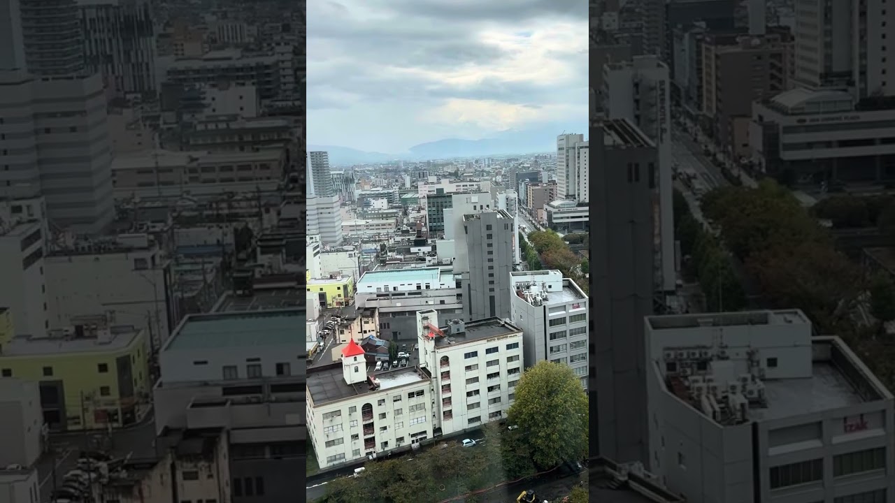 Toyama city office observation tower