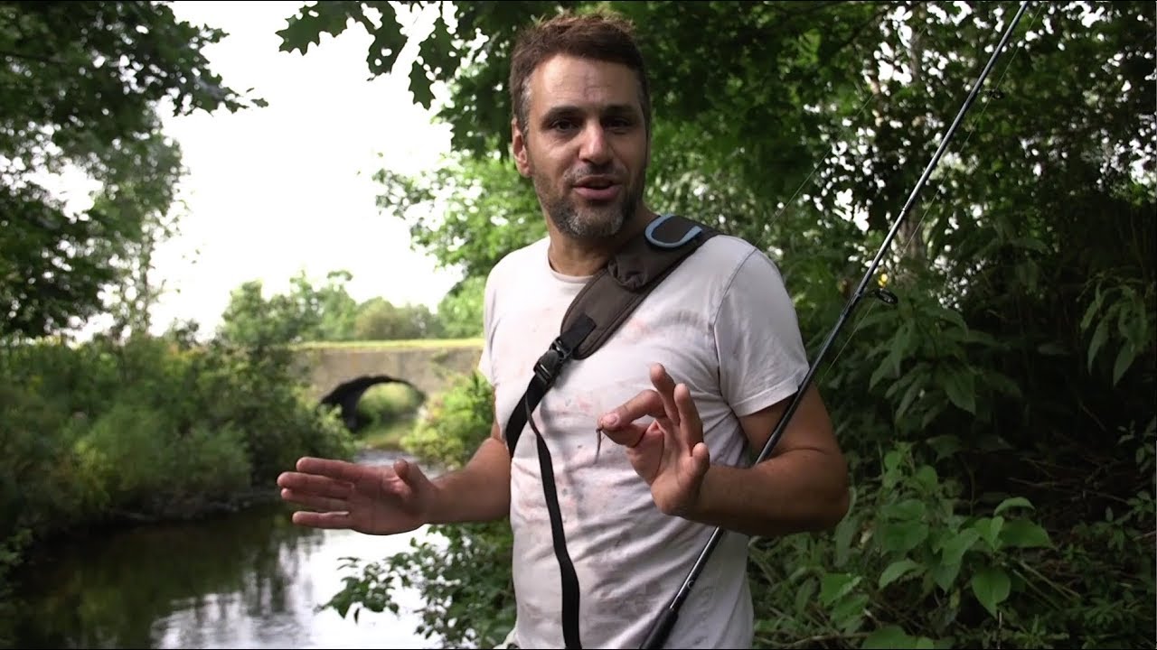 À l'affût: Pêche en ruisseau