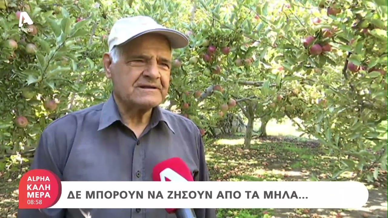 Η Κυπερούντα και τα μήλα της | AlphaNews Live