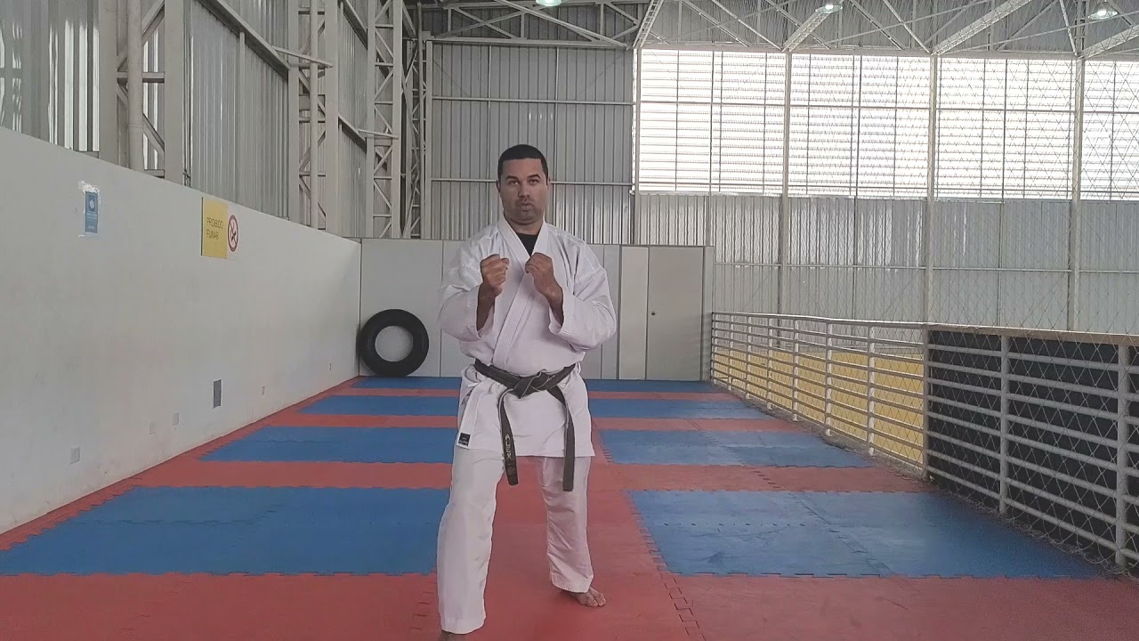 9 kyu faixa branca Dojo Castro Goju ryu matéria para exame de faixa