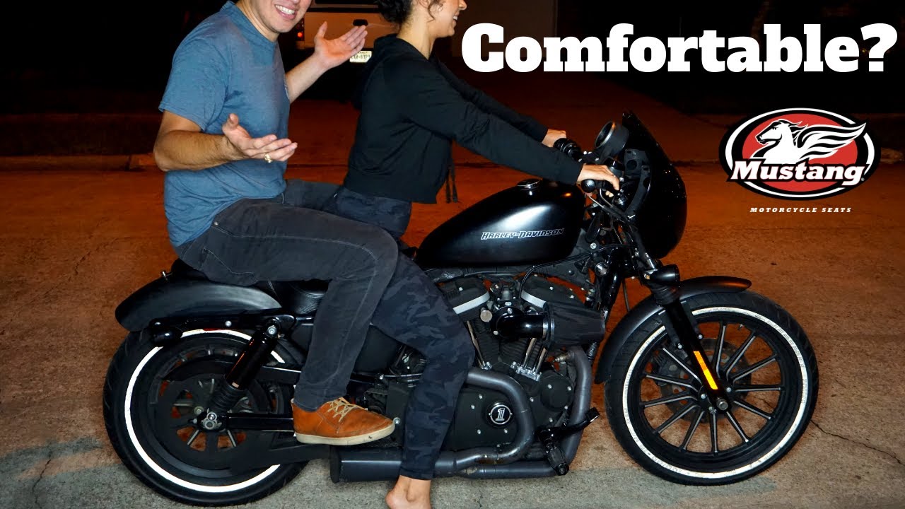 Mustang Fastback Seat For Harley | Iron 883 Sportster Build Ep. 07
