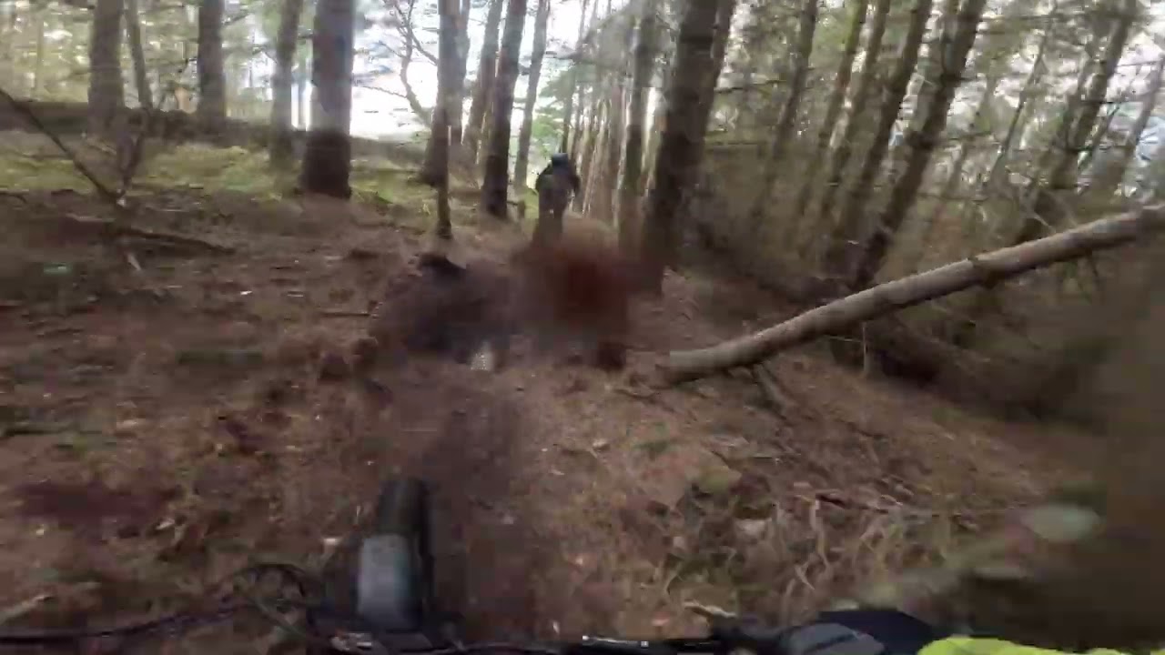 Jailbreak | Glentress