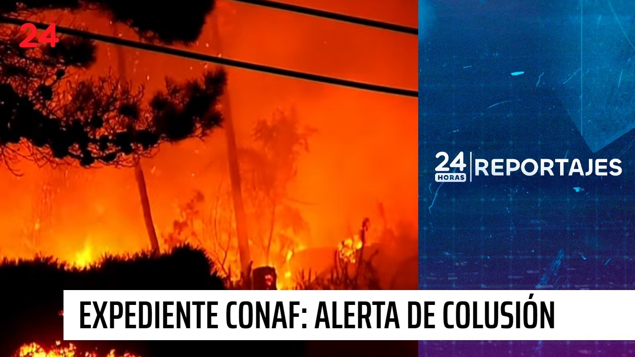 Expediente CONAF: Alerta de colusi&oacute;n | 24 Horas Reportajes