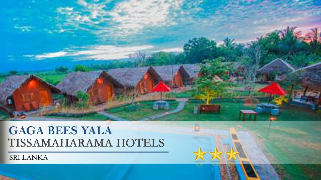 Gaga Bees Yala - Tissamaharama Hotels, Sri Lanka