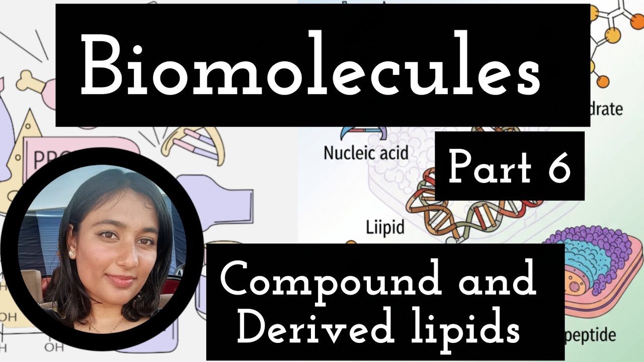 Compound and derived lipids || Biomolecules || Part 6