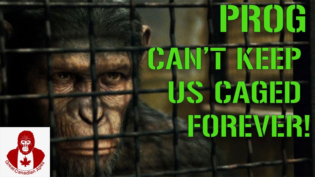 PROG Stock: Can't Keep Us Caged Forever!!!