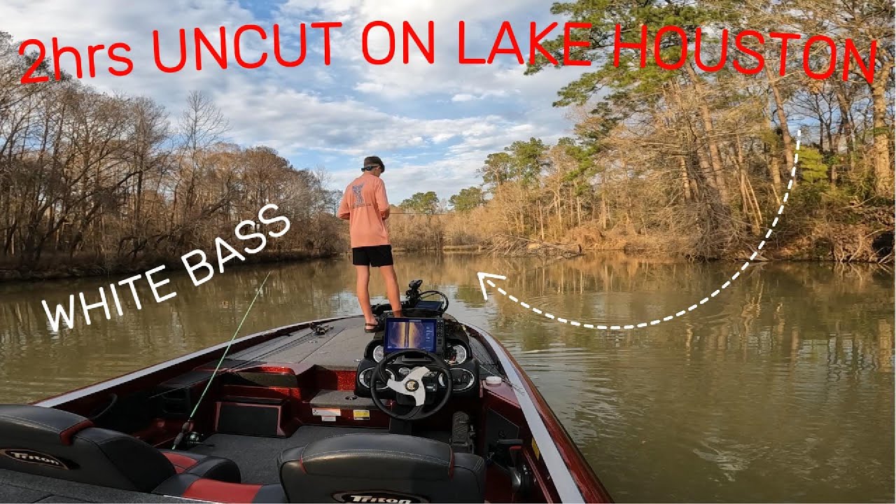 2HRS UNCUT ON LAKE HOUSTON (White Bass)