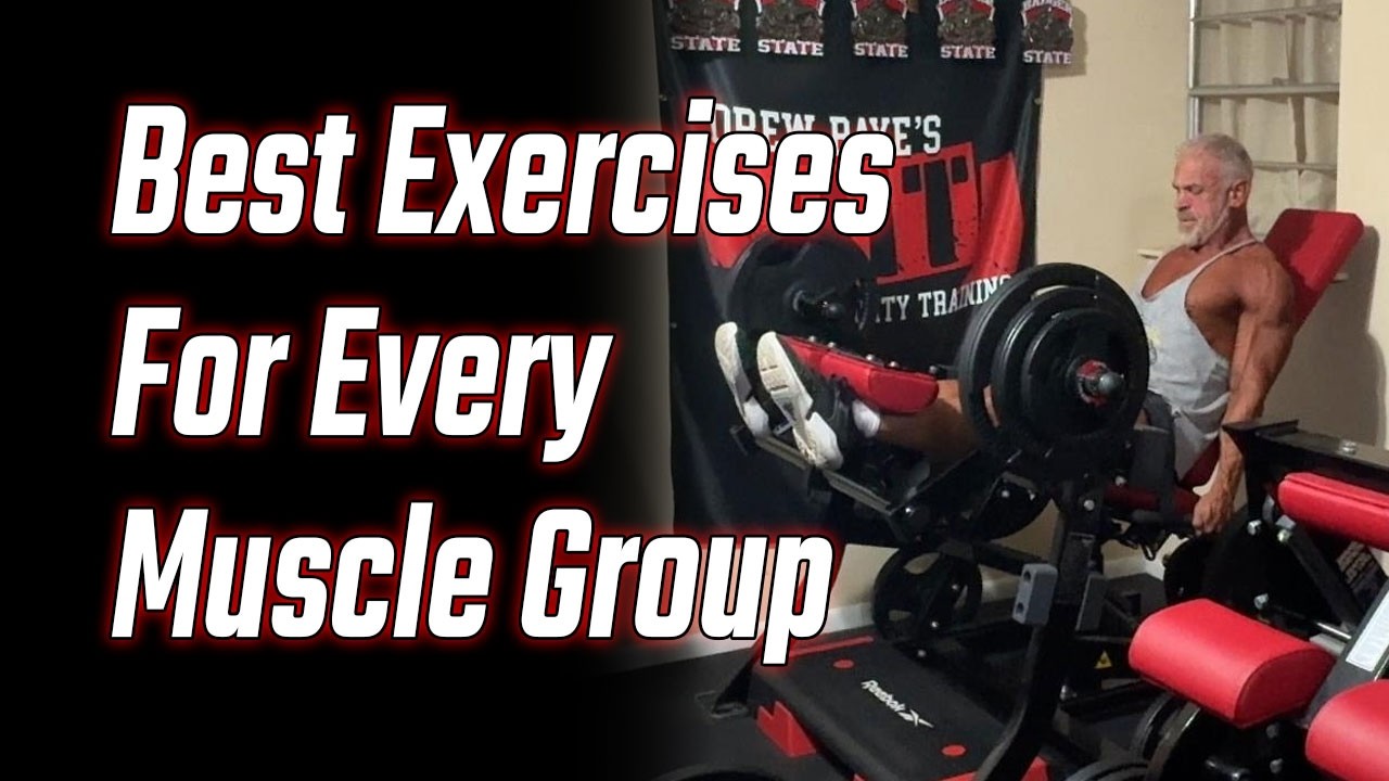 The Best Exercises for Every Muscle Group