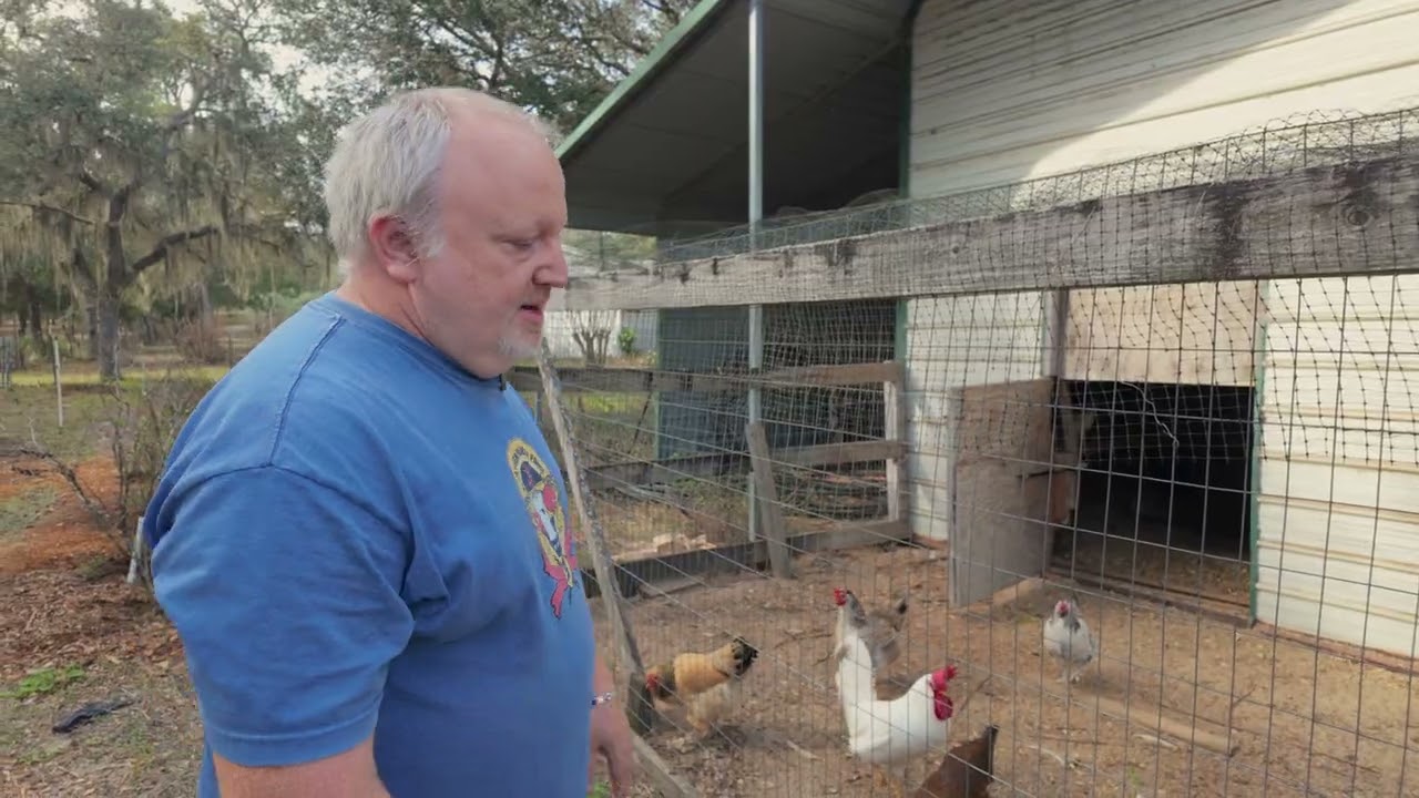 Borinken Paradise Farm