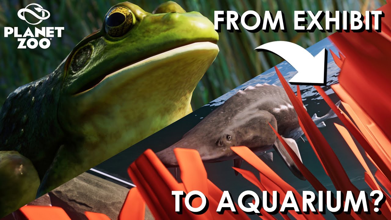 From exhibit to aquariums! - The road to Planet Zoo 2