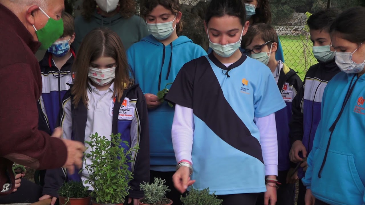 UEP! COM ANAM? [495] - L'HORT DELS BLAVETS DE LLUC, FARTÀRITX DE POLLENÇA I CARABASSONS FARCITS.