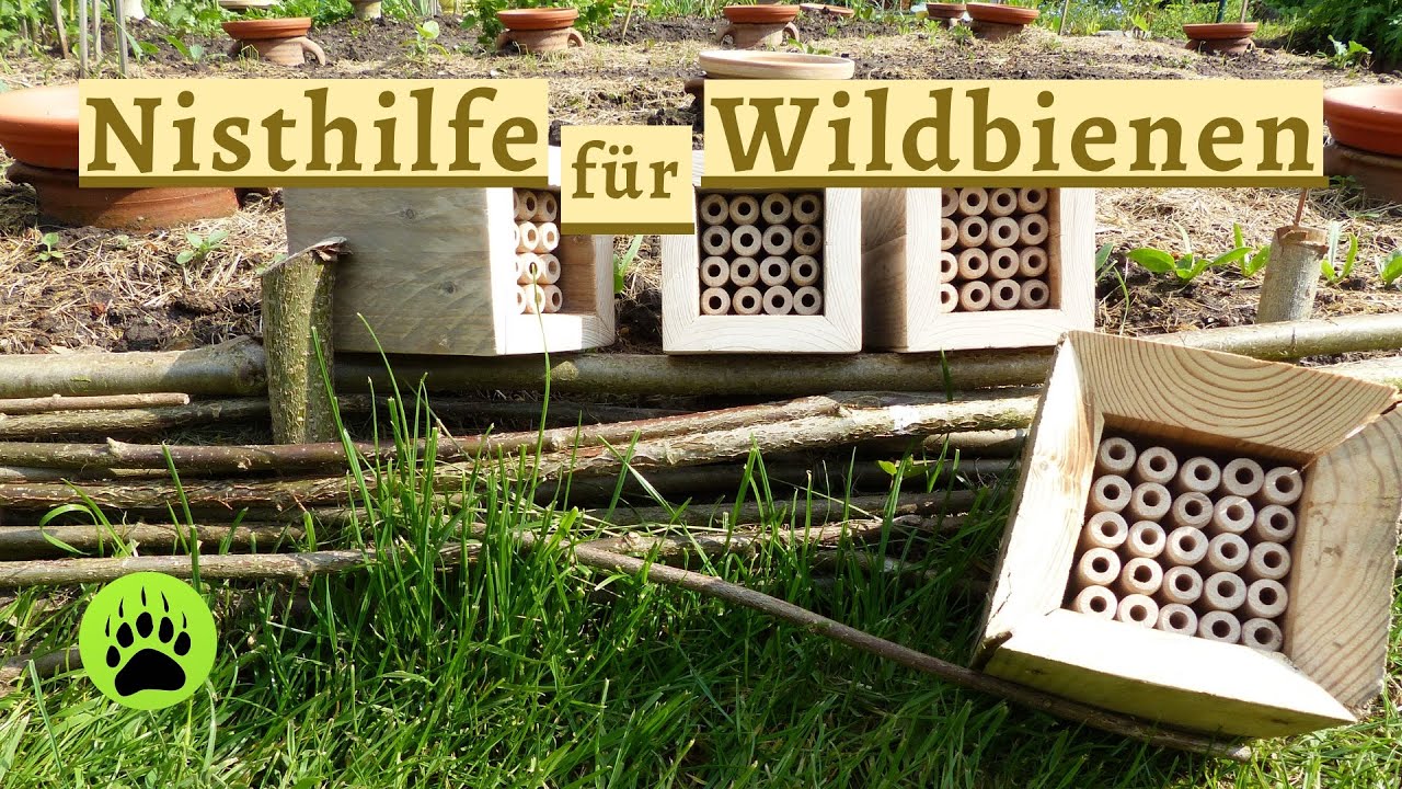 Nisthilfe für Wildbienen - DIY 🐝 - Folge 9