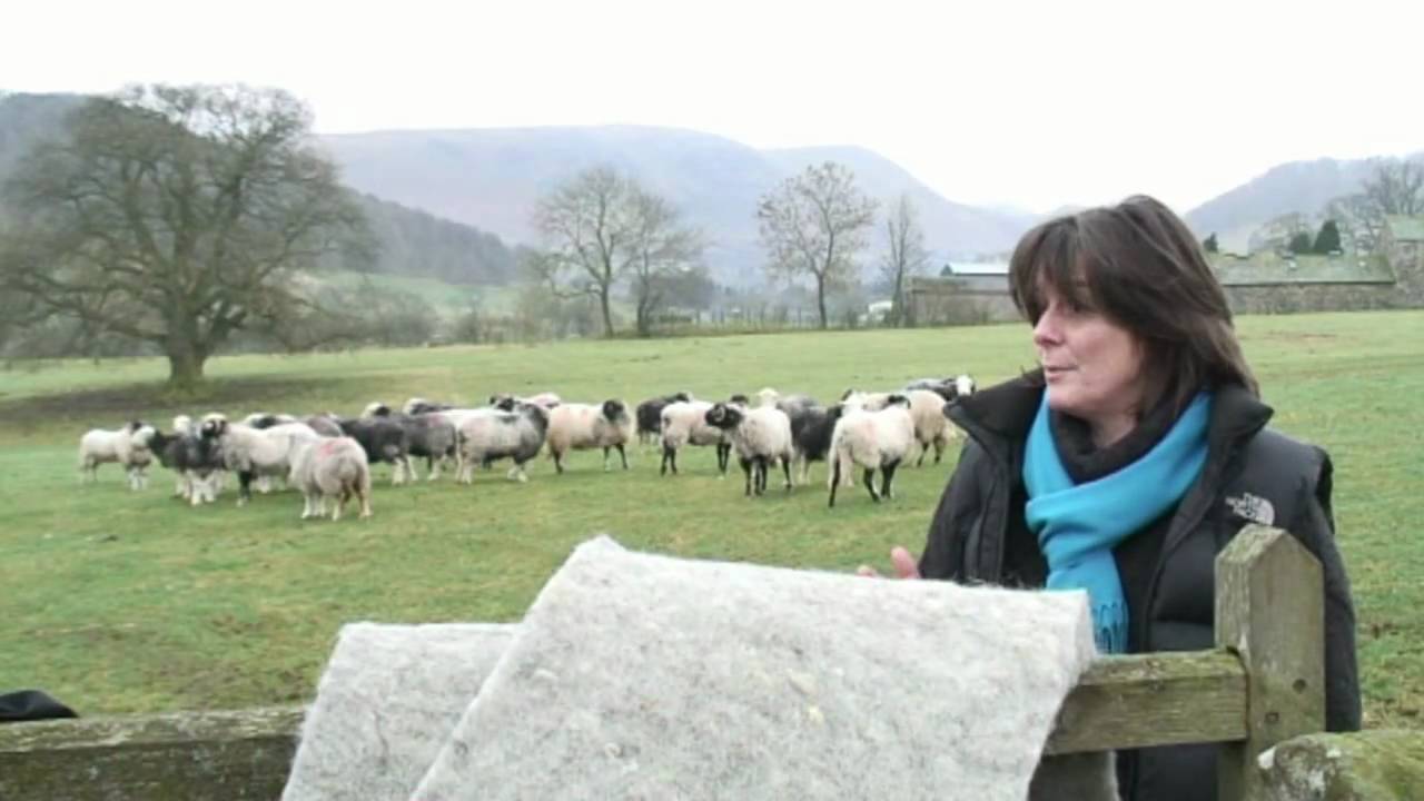 Nature Knows Best - Insulating Rosley Village Hall