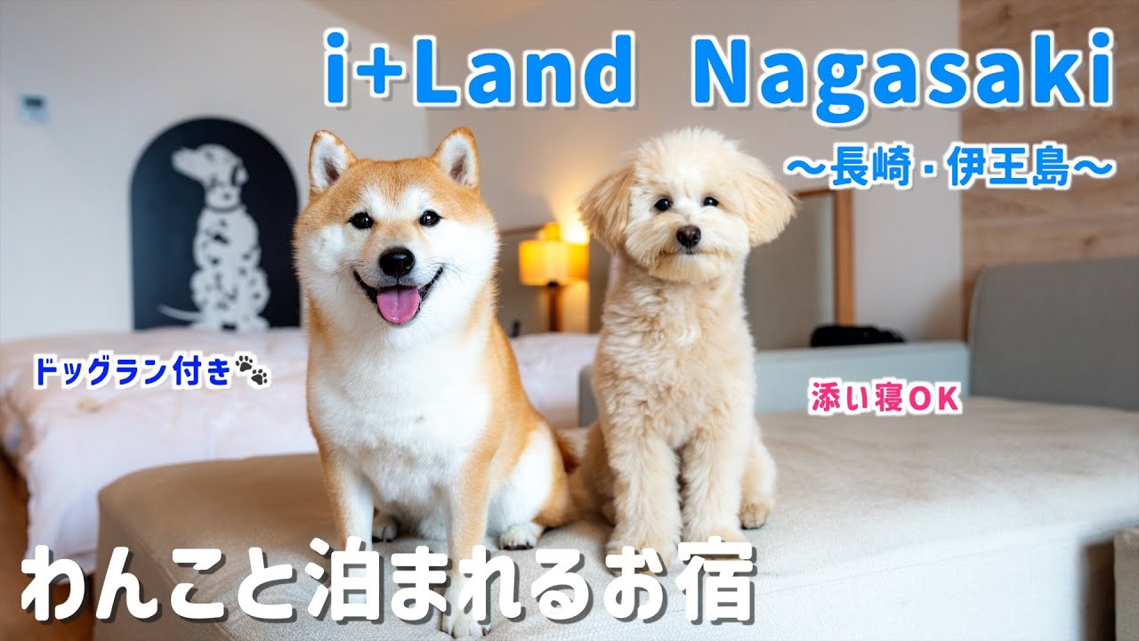 【犬連れOK】久々のアイランド長崎に大興奮♫お喋り多めのぽん吉が可愛すぎました（長崎旅行前編）【#114】