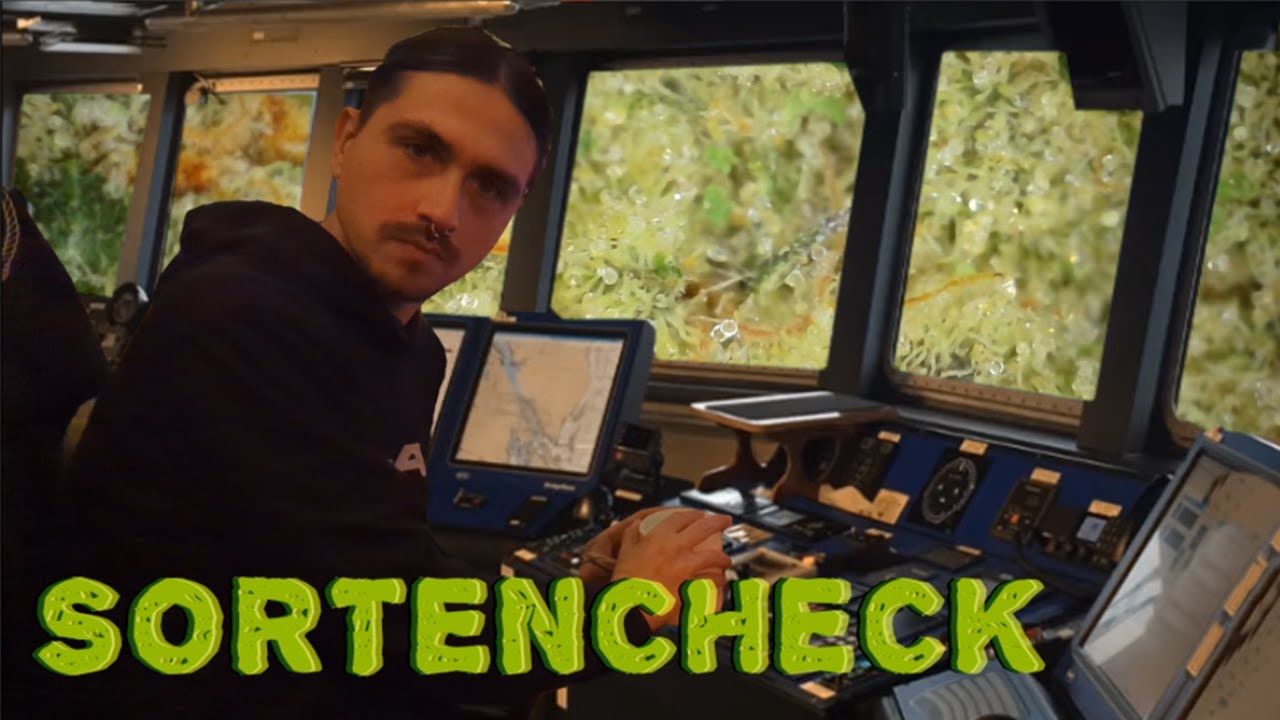 Sortencheck und andere Entdeckungen | VLOG#1