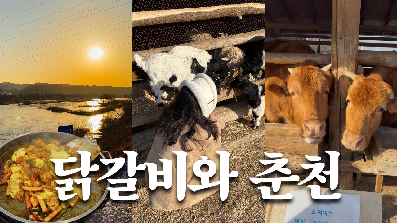 닭갈비 먹으러 춘천 당일치기! 9시간 풀코스🚶‍♂️🚅 해피초원목장 • 눈썰매장 • 소양강 •  감자밭, 감자빵 • 통나무집 닭갈비