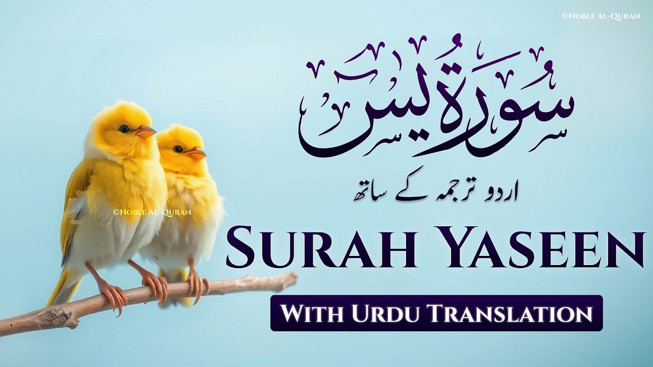 Surah Yasin | Surat Yaseen with Urdu Translation | Quran Tilawat Beautiful Voice | Urdu Tarjuma