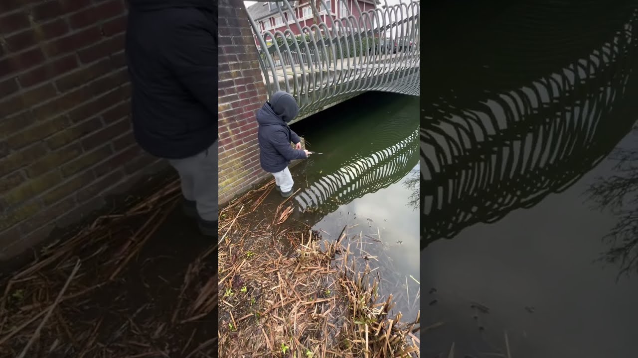 Vissen met een penreel en een ijsvishengel!#fishing #roofvissen #roofvissenjv #baars #video